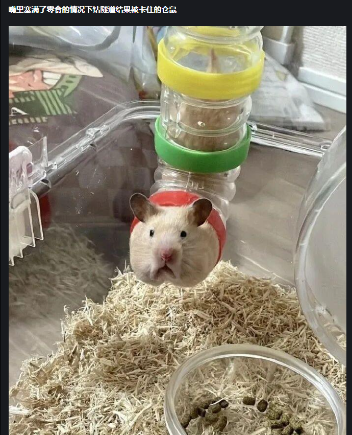 搞笑梗图