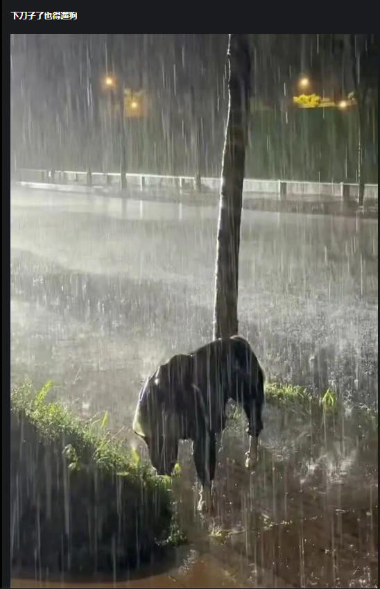 搞笑梗图