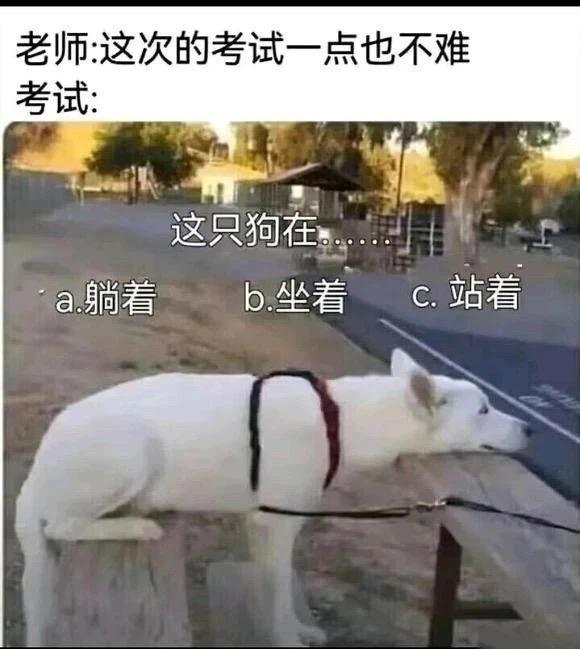 搞笑梗图