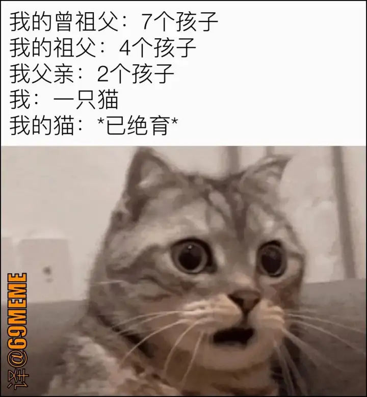 搞笑梗图