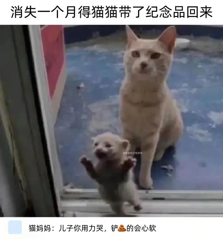 搞笑梗图