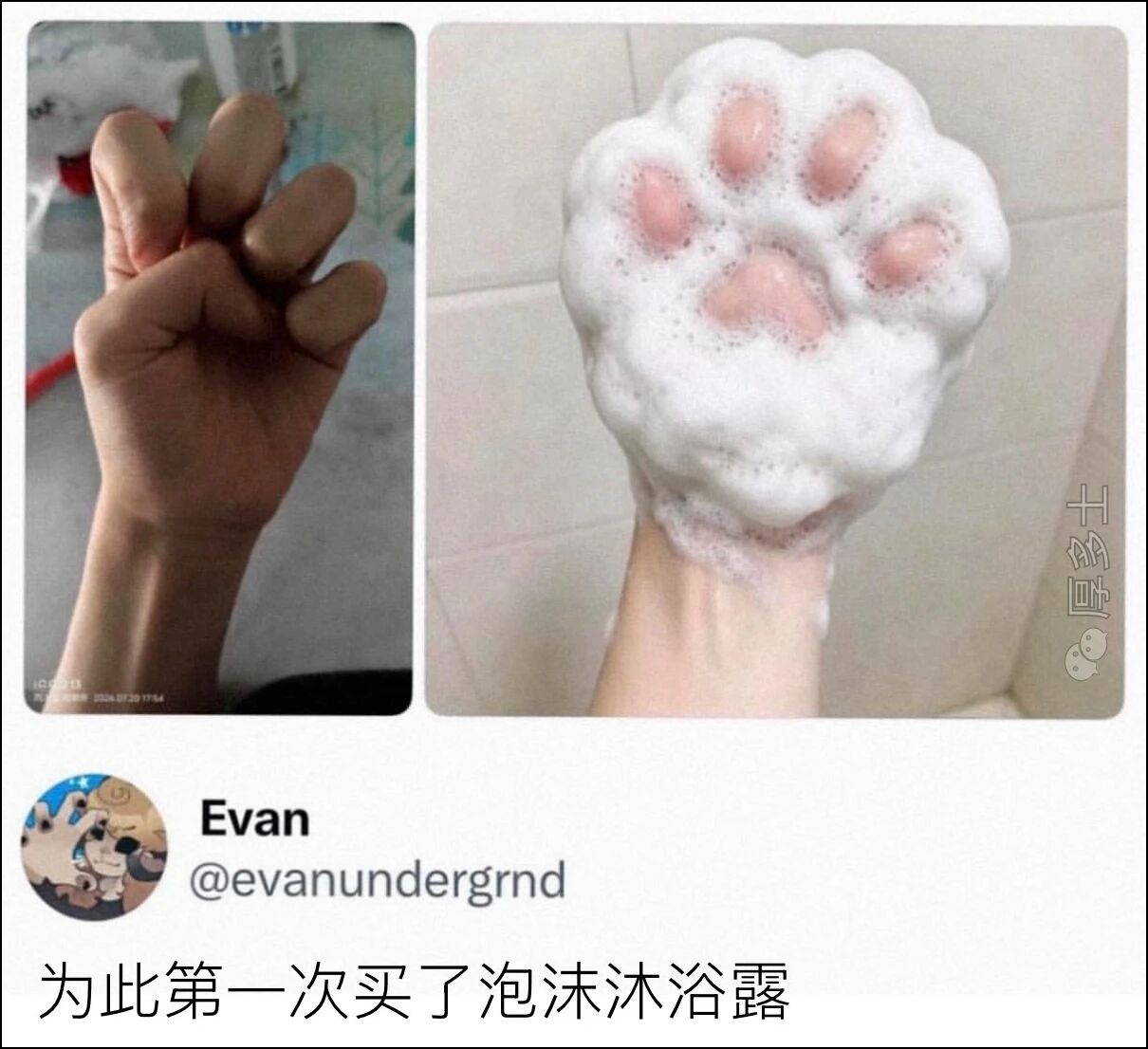 梗图 2