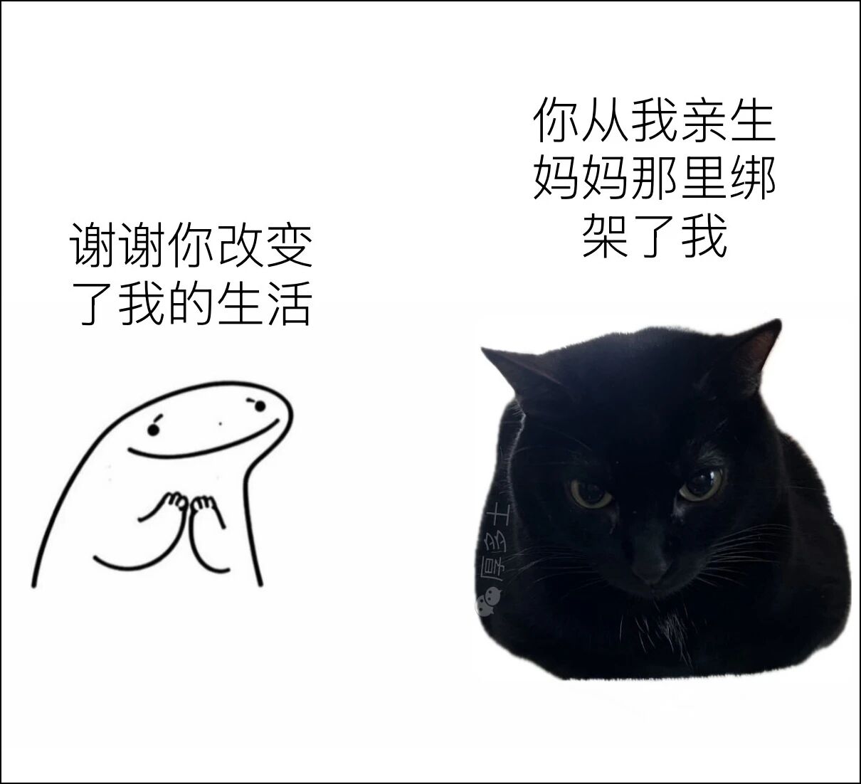 梗图 5