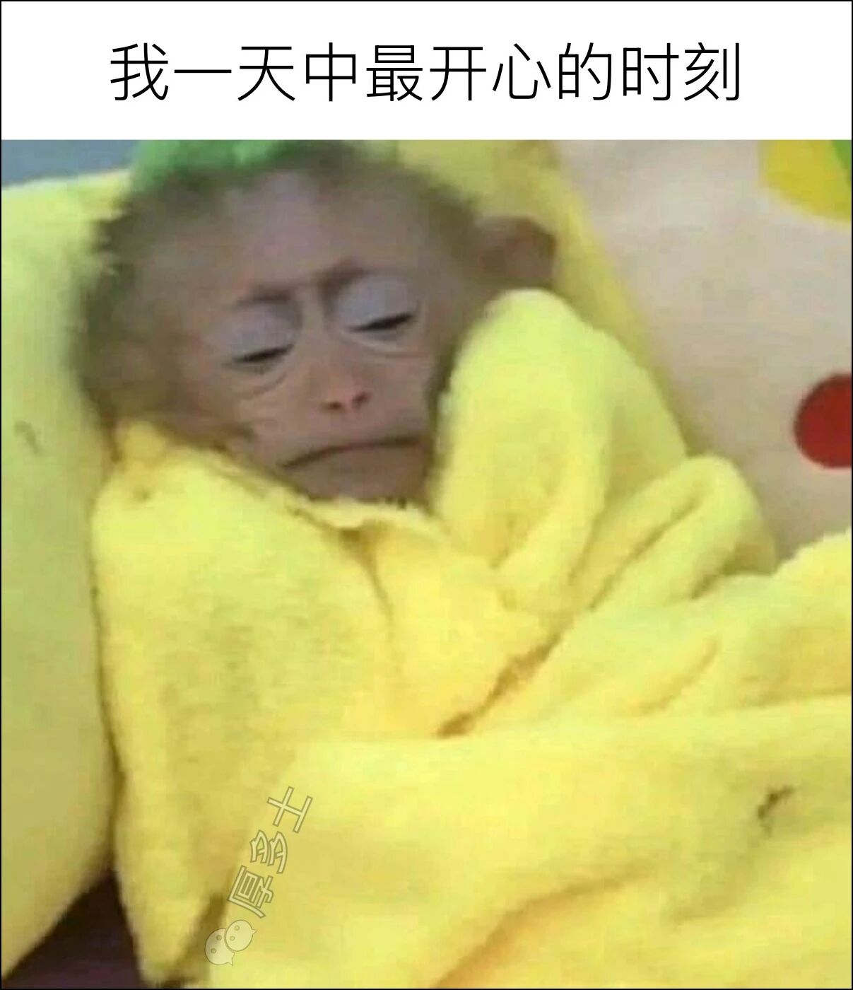梗图 4