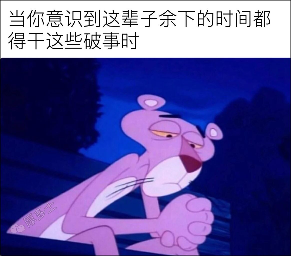 梗图 5