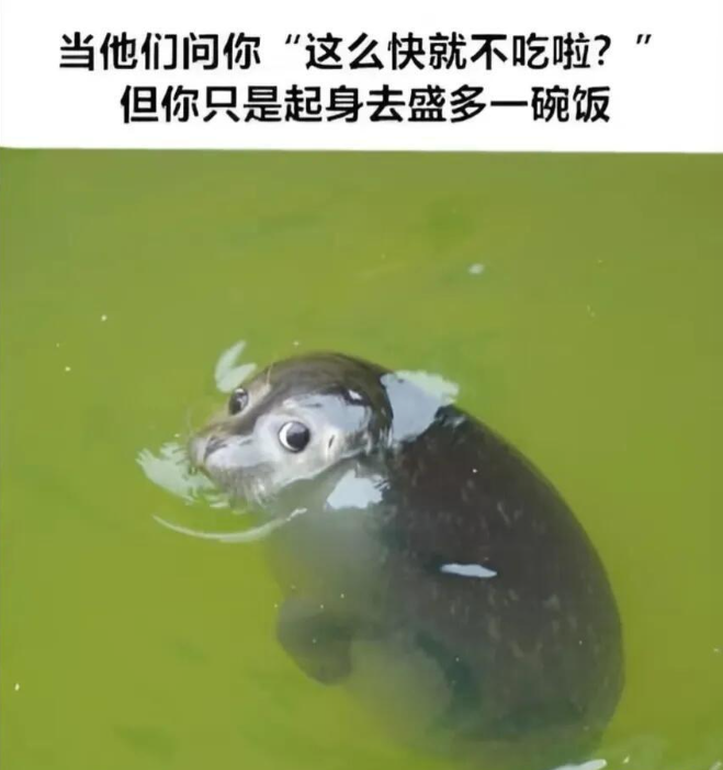 猫看到黄瓜后跳起来的动图